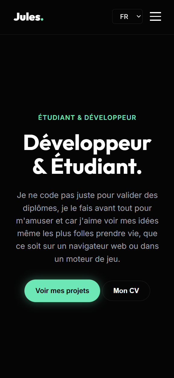 Portfolio Professionnel